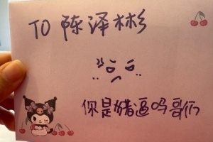 粉丝为Bin制作“猪逼”应援牌并澄清：非选手黑粉，手写信风格一贯如此。