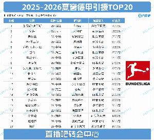 德甲夏季转会窗TOP20：标王迪亚斯以7000万欧元身价断层领跑，勒沃库森则以2亿欧元投入占据前七席中的五个名额。