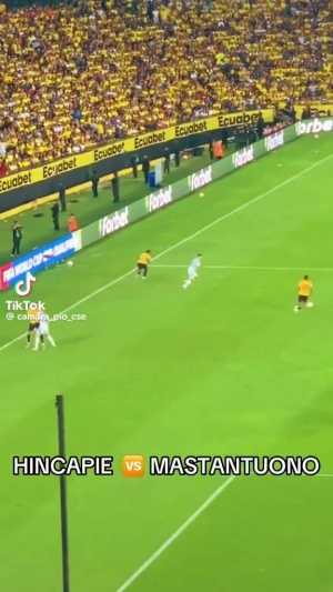 南美足球的经典场面：看台球迷视角捕捉到马斯坦托诺与因卡皮耶多次发生冲突。