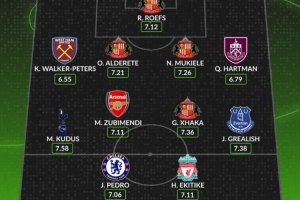 WhoScored评英超新援最佳阵：桑德兰三将苏维门迪、佩德罗入选