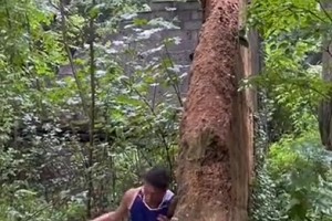 背打凿穿墙，字母哥看到都要服