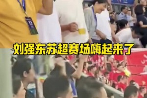 东哥太接地气了！刘强东在苏超赛场嗨起来了，伴随音乐扭动
