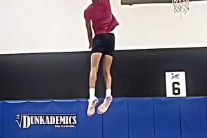 看得出这球迷身高并不矮啊，但依旧遭文班长臂无情站帽+隔扣